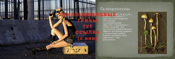 тгк Елабуга