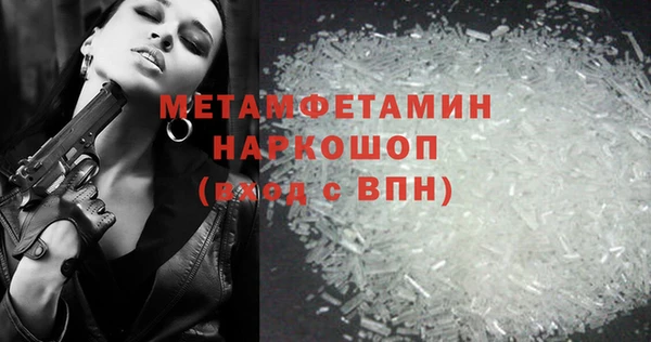 сатива Ельня