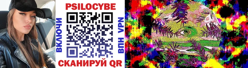 Псилоцибиновые грибы Cubensis  где найти   Старый Оскол 